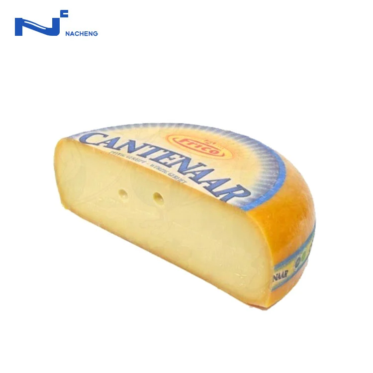 Túi co ngót đáy cong